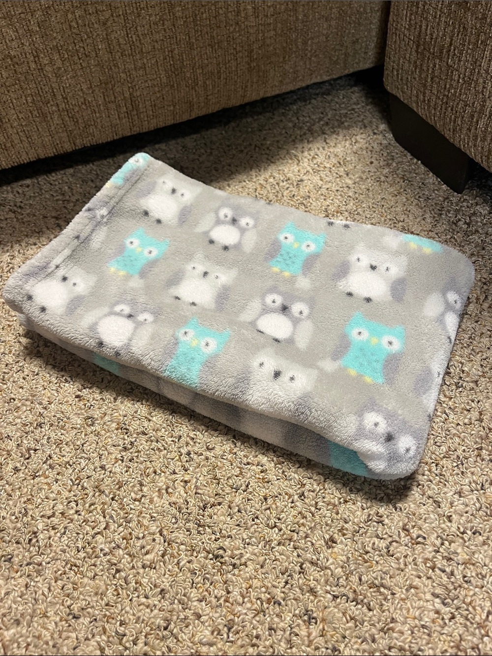 Small Pets substrate - blanket pattern